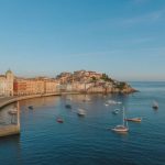 Seniors pet insurance: what to look for and how to choose the best policy